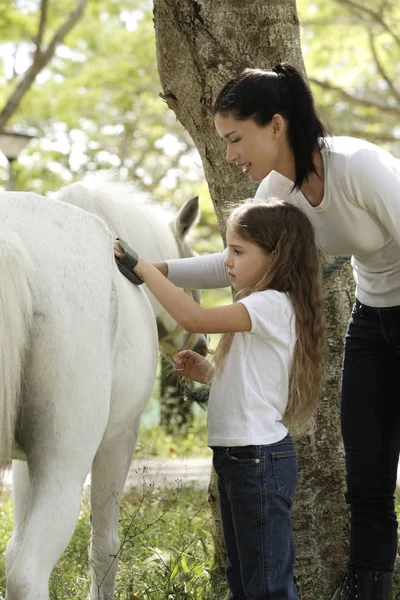 Mãe e filha grooming cavalo — Fotografia de Stock