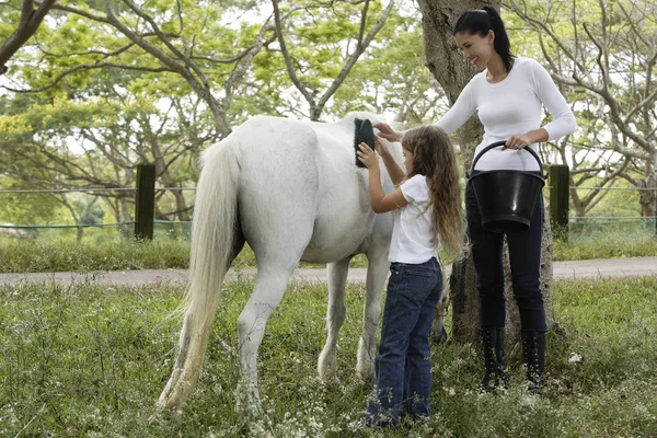 Madre e hija caballo de aseo — Foto de Stock