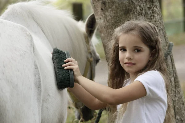 Joven chica aseo caballo — Foto de Stock