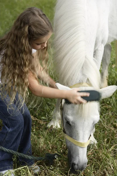 Joven chica aseo caballo — Foto de Stock