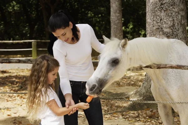 Madre e hija alimentando zanahoria a caballo — Foto de Stock