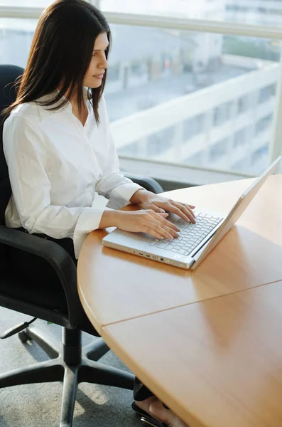 Ejecutivo femenino usando el ordenador portátil —  Fotos de Stock