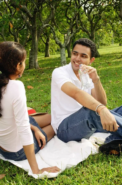 Paar zittend op Picknickkleed. — Stockfoto