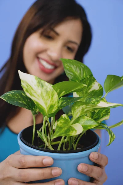 Donna che tiene pianta in vaso — Foto Stock