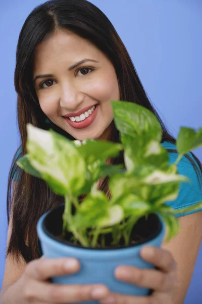 Donna in possesso di pianta in vaso, concentrarsi sullo sfondo — Foto Stock