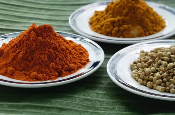 Curry e masala in polvere — Foto Stock