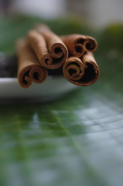 Närbild av kanelstänger — Stockfoto