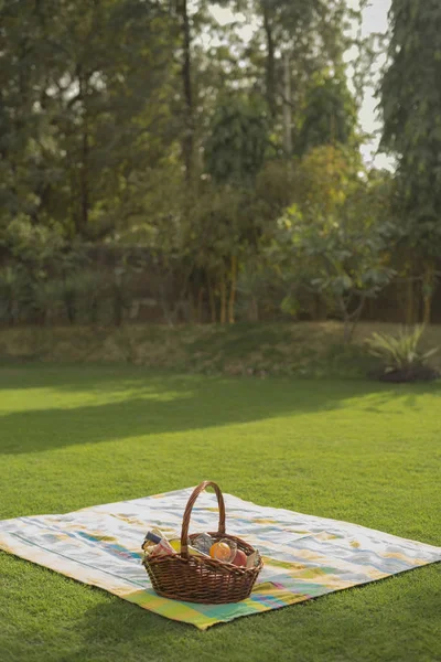 Picnic basket on grass — Stock Photo, Image