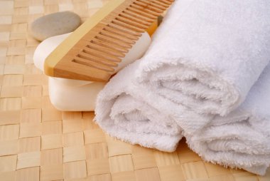 kaplıca tedavisi banyo tuvalet