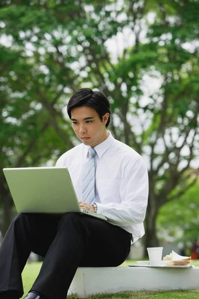 Uomo d'affari in parco con computer portatile — Foto Stock