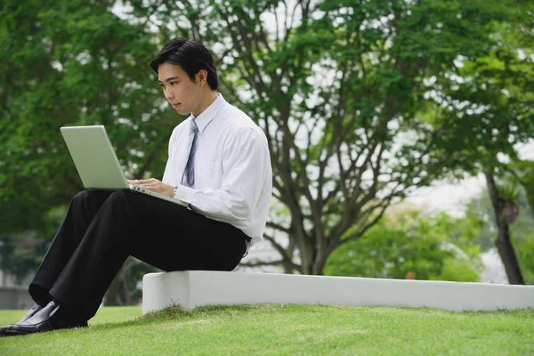 Uomo d'affari in parco con computer portatile — Foto Stock