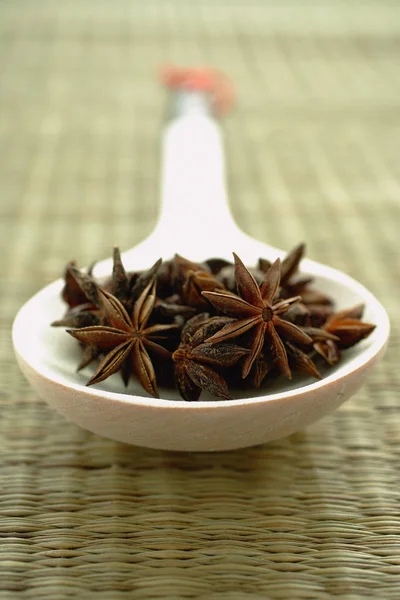 Stars Anise in spoon — Stock Photo, Image