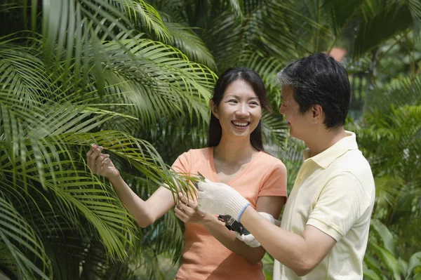 Asiatiska par i trädgården — Stockfoto