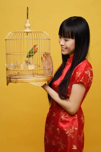 Жінка холдингу невеликий папуга — стокове фото