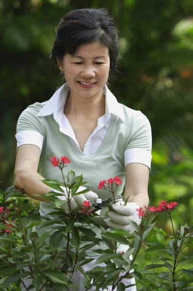 Sorridente donna giardinaggio — Foto Stock