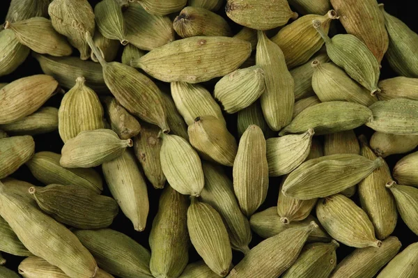 Зеленые семена кардамона — стоковое фото