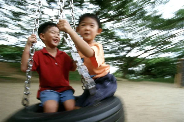 Meninos jogando no balanço — Fotografia de Stock