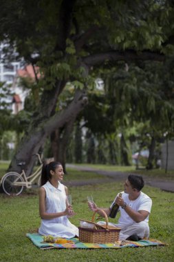 Parkta piknik üzerinde çift