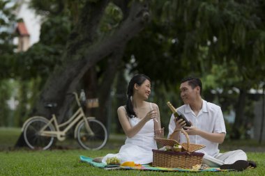 Parkta piknik üzerinde çift