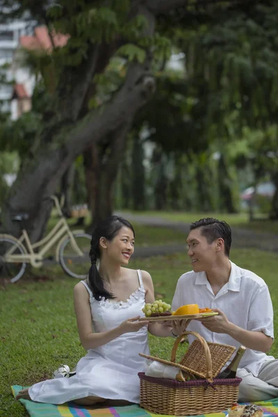 Par på picknick i parken — Stockfoto