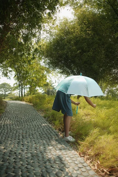 Молода дівчина тримає парасольку — стокове фото