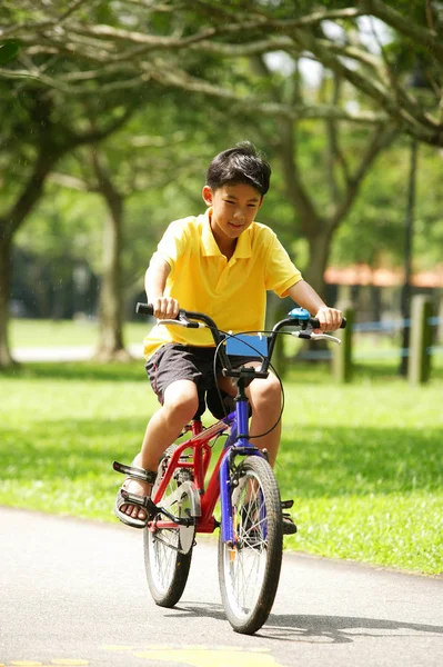 Boy bersepeda di taman — Stok Foto