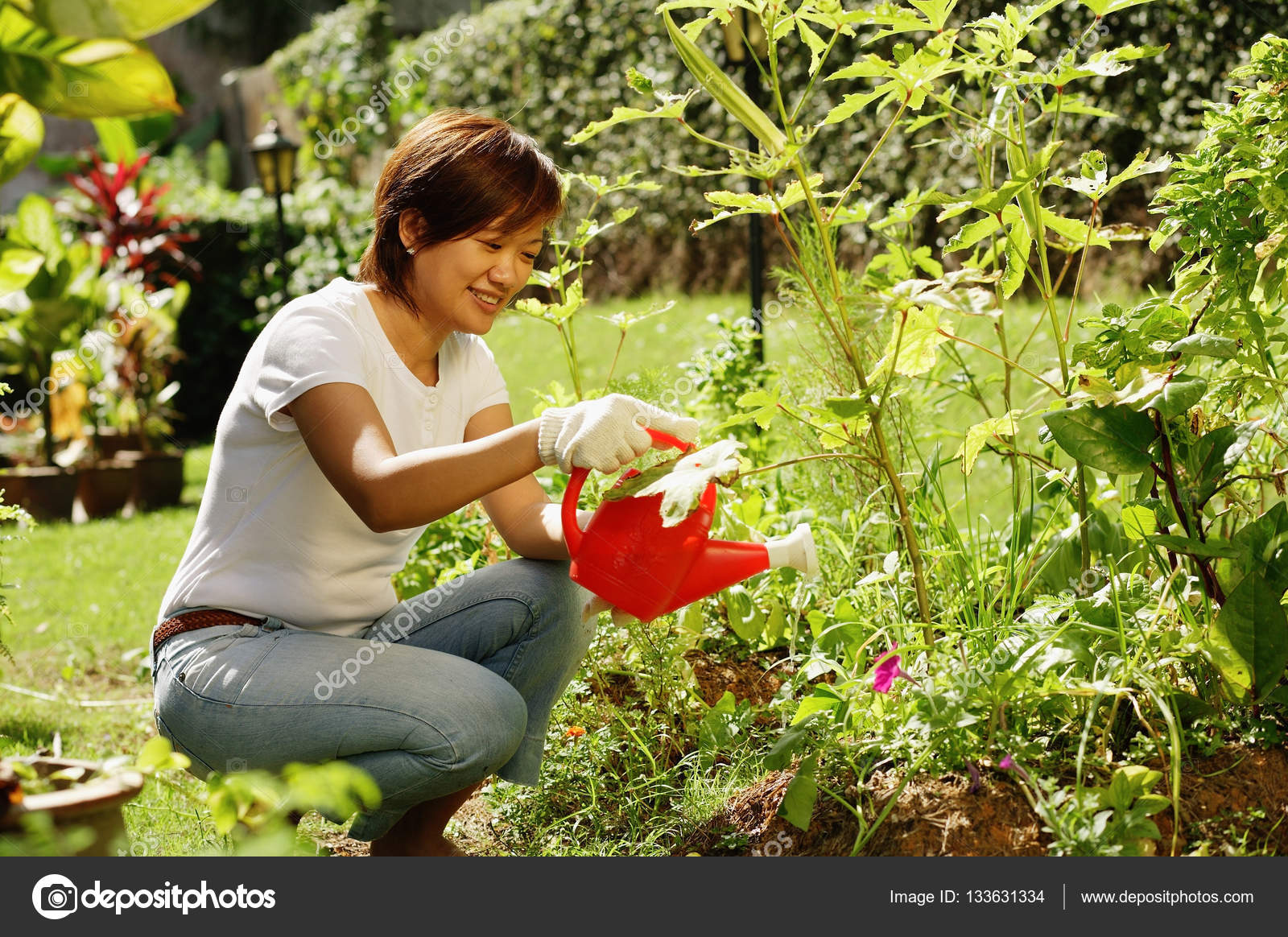 Woman gardening Stock Photos Royalty Free Woman gardening Images