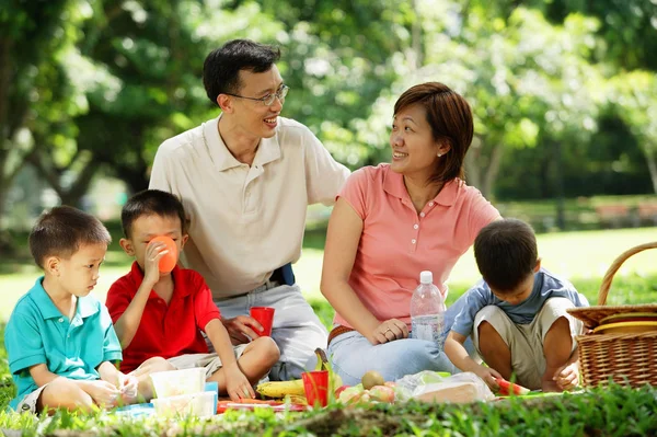 피크닉에 세 아이 들과 가족 — 스톡 사진