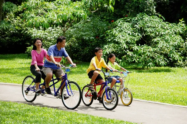 Famiglia in parco, Ciclismo — Foto Stock