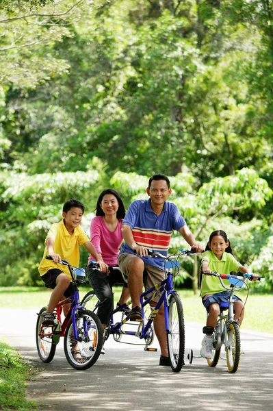 Famiglia in parco, maneggio biciclette — Foto Stock