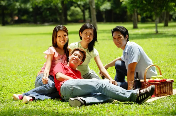 Young adults having picnic — Stock Photo, Image