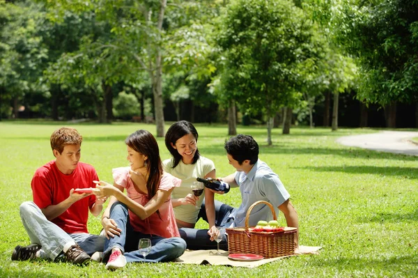 Adultos jóvenes haciendo picnic — Foto de Stock