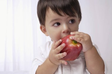 little boy with apple clipart