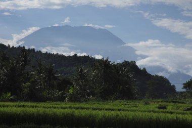 Bali Agung Dağı