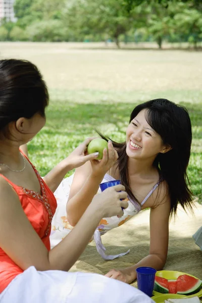 Kvinnor har picknick — Stockfoto