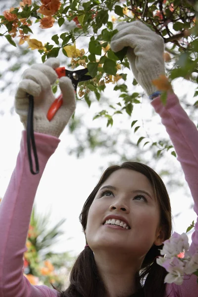 Mujer trabajando en el jardín — Foto de Stock