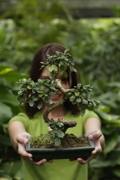 Donna che tiene l'albero di Bonsai — Foto Stock