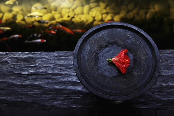 Дерев'яна чаша з червоною квіткою — стокове фото