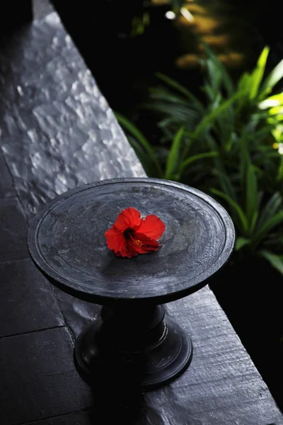 Dřevěná miska s červeným květem — Stock fotografie