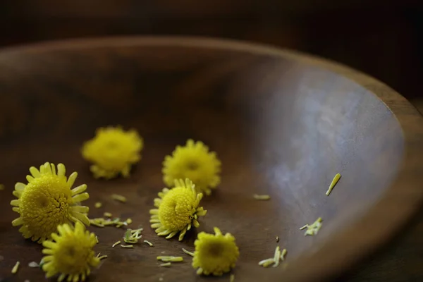 Квіти жовті хризантеми — стокове фото