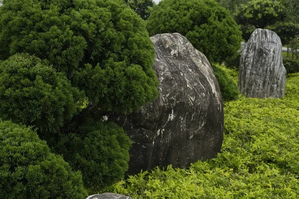 Büyük kayalar ile Park — Stok fotoğraf