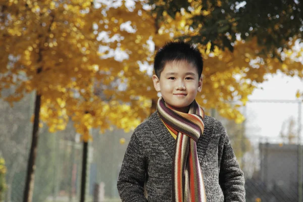 Aziatische jongen met gele bladeren — Stockfoto