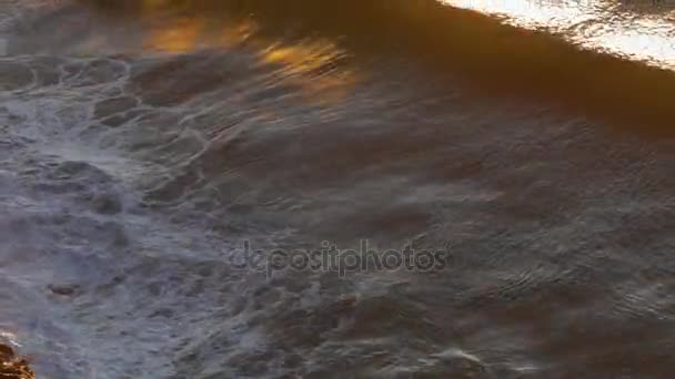 Hullámok zuhannak le a parton — Stock videók