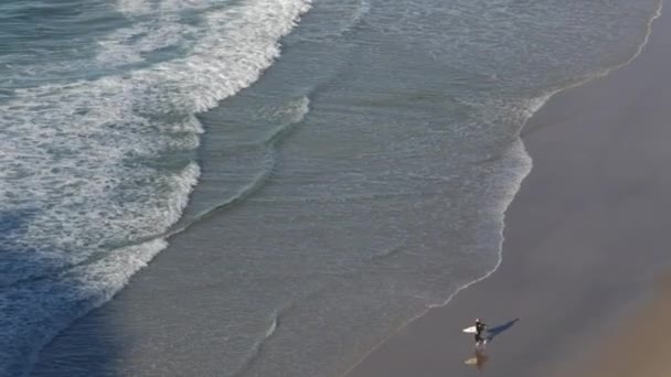 Серфер бежит вдоль пляжа и в воду / Австралия — стоковое видео