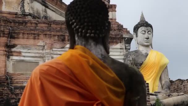 Buda heykelleri Tayland — Stok video