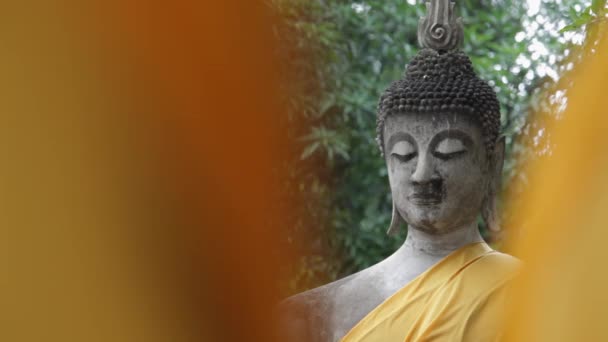 Estatuas de Buda en Tailandia — Vídeo de stock