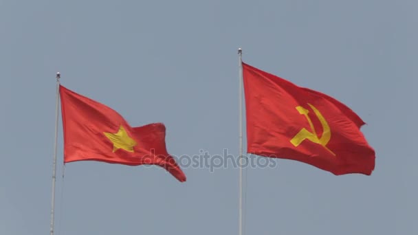 Vietnamese and Communist Flags Waving — Stock Video