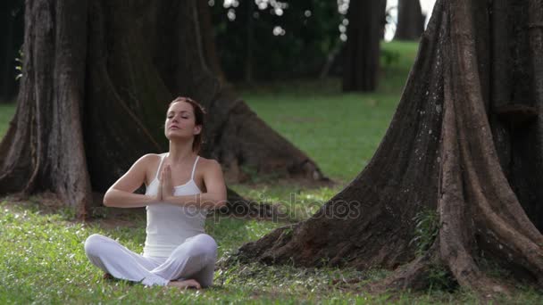 Young woman doing yoga — Stock Video