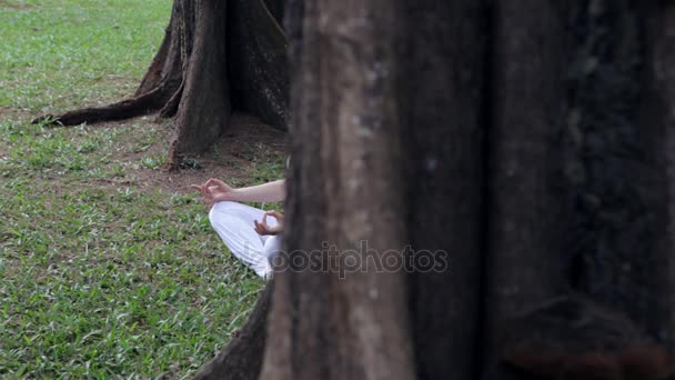 Junge Frau macht Yoga im Park — Stockvideo