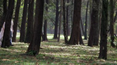 몇 잡고 손을 산책